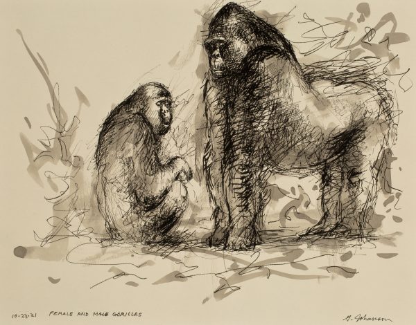 FEMALE AND MALE GORILLAS (SOLD) - Augen Gallery